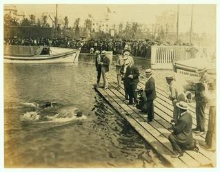 1904 Olympics - Finish of 220 Yard Swim Competition